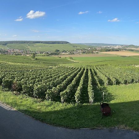 Au Coeur Du Terroir Champenois Chavot-Courcourt Exterior foto