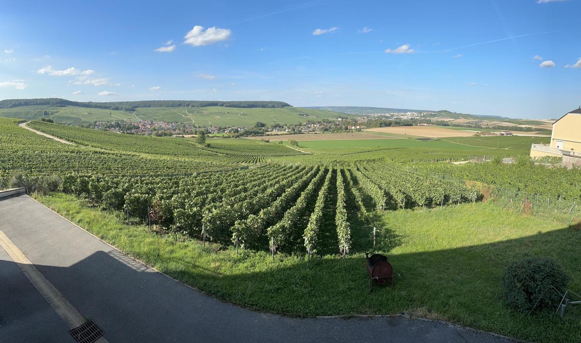 Au Coeur Du Terroir Champenois Chavot-Courcourt Exterior foto