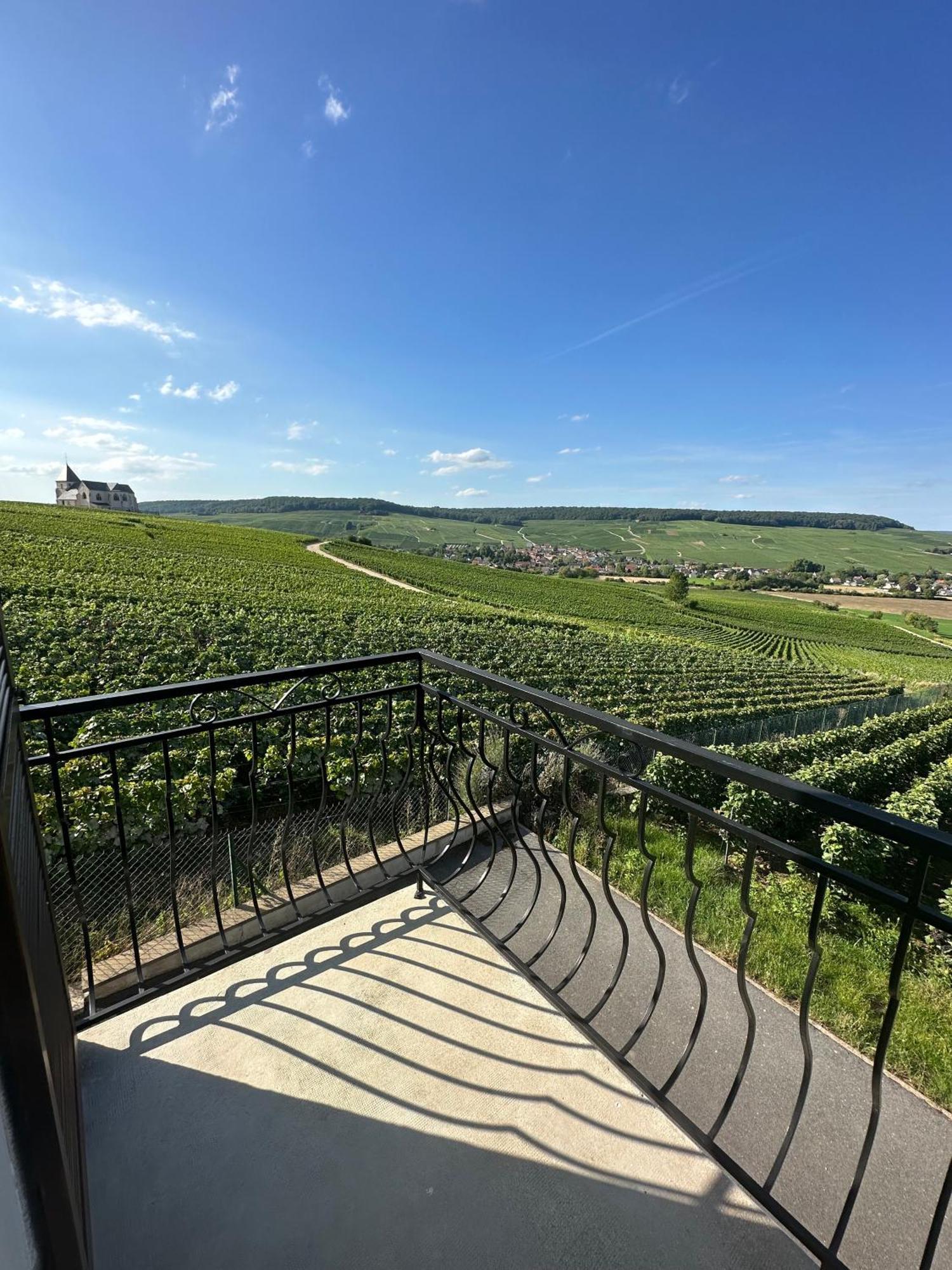 Au Coeur Du Terroir Champenois Chavot-Courcourt Exterior foto